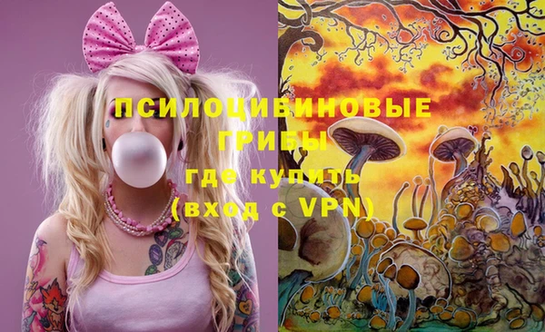 дживик Грязи