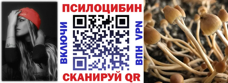 это Telegram Мелеуз Галлюциногенные грибы мухоморы